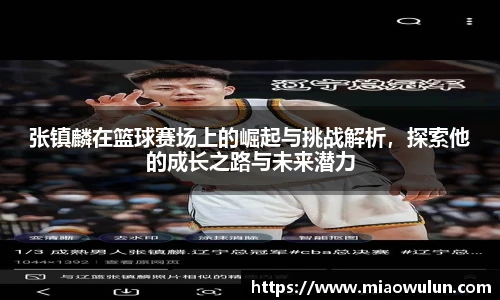 张镇麟在篮球赛场上的崛起与挑战解析，探索他的成长之路与未来潜力