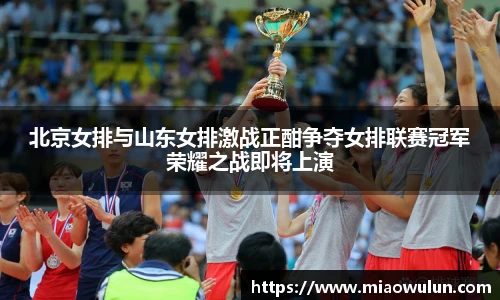 北京女排与山东女排激战正酣争夺女排联赛冠军荣耀之战即将上演